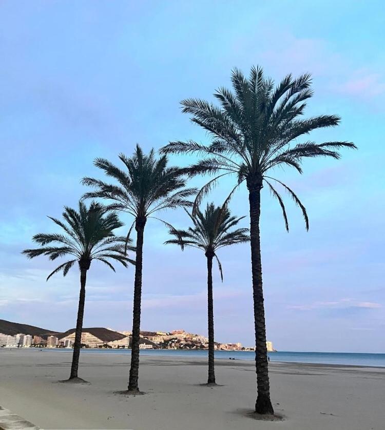 A 50 M De La Plage Cullera Exterior photo